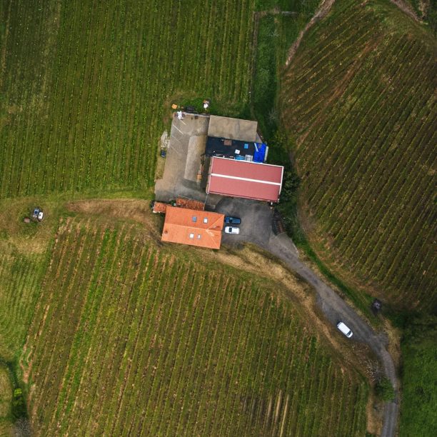 Aerial shot of a rural farmhouse surrounded by lush cropland, showcasing countryside tranquility.